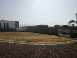 Terrain à vendre à Zapopan, Jalisco, Zapopan, Jalisco
