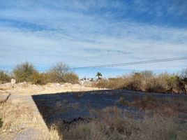  Grundstück zu vermieten in Torreon, Coahuila, Torreon