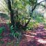  Terreno (Parcela) en venta en San Joaquin, Querétaro, San Joaquin