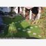 3 Bedroom House for sale in Torreon, Coahuila, Torreon