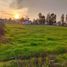  Land for sale in Chile, Pelarco, Talca, Maule, Chile