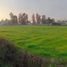  Land for sale in Chile, Pelarco, Talca, Maule, Chile