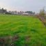  Land for sale in Chile, Pelarco, Talca, Maule, Chile