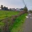  Land for sale in Chile, Pelarco, Talca, Maule, Chile