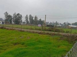  Land for sale in Chile, Pelarco, Talca, Maule, Chile