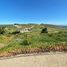  Land for sale in Chile, Navidad, Cardenal Caro, Libertador General Bernardo Ohiggins, Chile