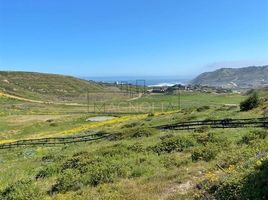  Land for sale in Chile, Navidad, Cardenal Caro, Libertador General Bernardo Ohiggins, Chile