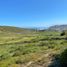  Land for sale in Navidad, Libertador General Bernardo Ohiggins, Navidad