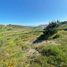  Land for sale in Chile, Navidad, Cardenal Caro, Libertador General Bernardo Ohiggins, Chile