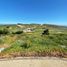  Land for sale in Chile, Navidad, Cardenal Caro, Libertador General Bernardo Ohiggins, Chile