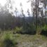  Land for sale in Ricaurte, Cuenca, Ricaurte