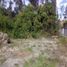  Land for sale in Ricaurte, Cuenca, Ricaurte