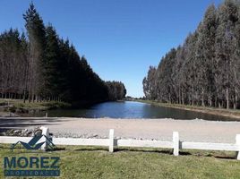  Land for sale in Chile, Frutillar, Llanquihue, Los Lagos, Chile