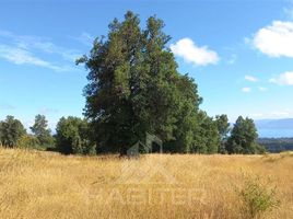  Terreno (Parcela) en venta en Chile, Villarrica, Cautín, Araucanía, Chile