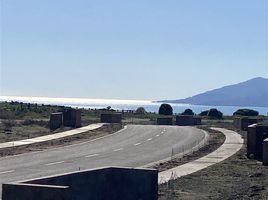  Land for sale in Chile, Puchuncavi, Valparaiso, Valparaiso, Chile