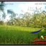  Terrain for sale in Tegallalang, Gianyar, Tegallalang