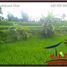  Terrain for sale in Tegallalang, Gianyar, Tegallalang