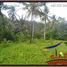  Terrain for sale in Tegallalang, Gianyar, Tegallalang