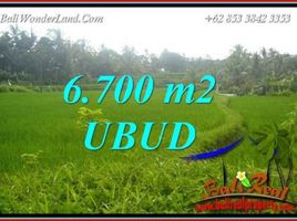  Terrain for sale in Tegallalang, Gianyar, Tegallalang