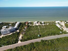  Grundstück zu verkaufen in Telchac Puerto, Yucatan, Telchac Puerto