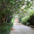 10 Bedroom House for sale in Amaguana, Pichincha, Amaguana, Quito, Pichincha
