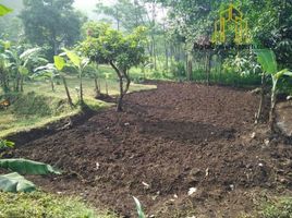  Land for sale in Bandung, West Jawa, Padalarang, Bandung