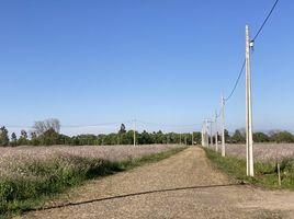 Terreno (Parcela) en venta en Maule, Pelarco, Talca, Maule