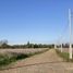  Land for sale in Pelarco, Maule, Pelarco