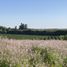  Terreno (Parcela) en venta en Maule, Pelarco, Talca, Maule