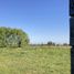  Terreno (Parcela) en venta en Maule, Pelarco, Talca, Maule