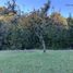  Land for sale in Chile, Puerto Varas, Llanquihue, Los Lagos, Chile