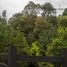  Land for sale in Chile, Puerto Varas, Llanquihue, Los Lagos, Chile