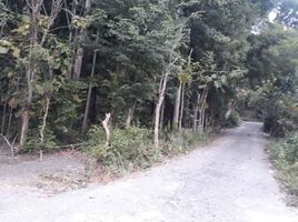  Land for sale in Bantul, Yogyakarta, Kasihan, Bantul