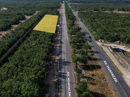  Land for sale in Cancun, Quintana Roo, Cancun