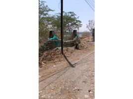  Terreno (Parcela) en venta en Puente De Ixtla, Morelos, Puente De Ixtla