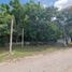  Land for rent in Tizimin, Yucatan, Tizimin