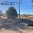  Land for sale in Guadalupe, Zacatecas, Guadalupe