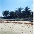  Grundstück zu verkaufen in Othon P Blanco, Quintana Roo, Othon P Blanco