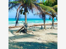  Grundstück zu verkaufen in Othon P Blanco, Quintana Roo, Othon P Blanco