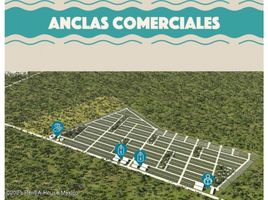  Grundstück zu verkaufen in Chicxulub Pueblo, Yucatan, Chicxulub Pueblo
