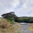  Land for sale in Guayllabamba, Pichincha, Guayllabamba