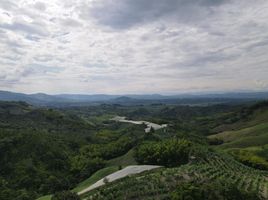  Terreno (Parcela) en venta en Quindio, Pijao, Quindio