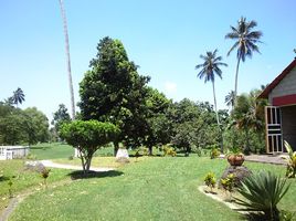  Villa en alquiler en Veracruz, Veracruz, Veracruz
