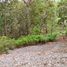 Land for sale in Chiquilistlan, Jalisco, Chiquilistlan