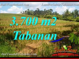  Tanah for sale in Selemadeg, Tabanan, Selemadeg