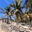  Terreno (Parcela) en venta en Progreso, Yucatán, Progreso, Yucatán