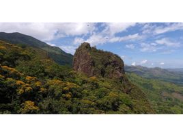  Terrain for sale in Veraguas, El Pantano, Santa Fe, Veraguas