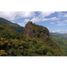  Land for sale in El Pantano, Veraguas, El Pantano