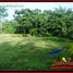  Land for sale in Selemadeg, Tabanan, Selemadeg