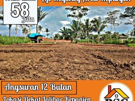  Land for sale in Malang Regency, East Jawa, Kepanjen, Malang Regency